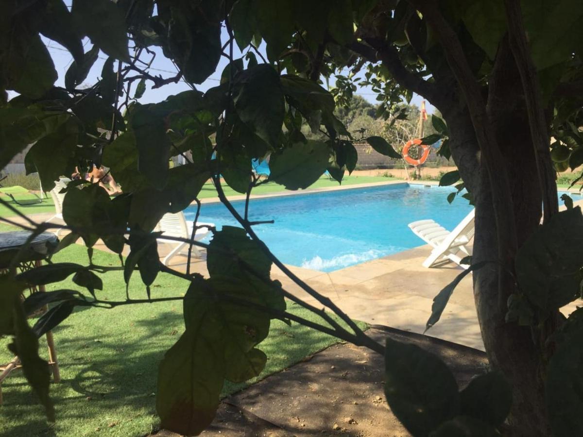 فيلا Chiclana Mobile House - Piscina , Wi-Fi, Relax شيكلانا دي لا فرونتيرا المظهر الخارجي الصورة