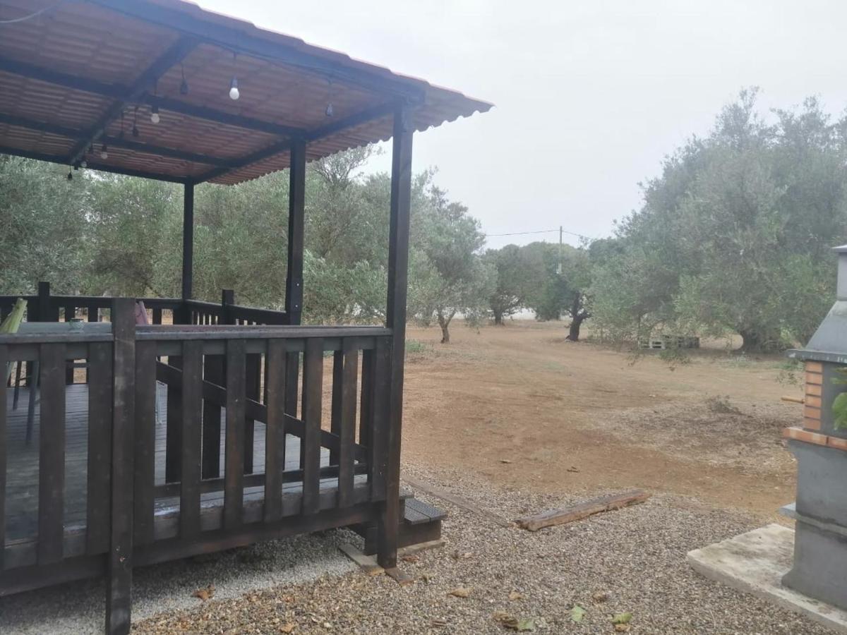 فيلا Chiclana Mobile House - Piscina , Wi-Fi, Relax شيكلانا دي لا فرونتيرا المظهر الخارجي الصورة
