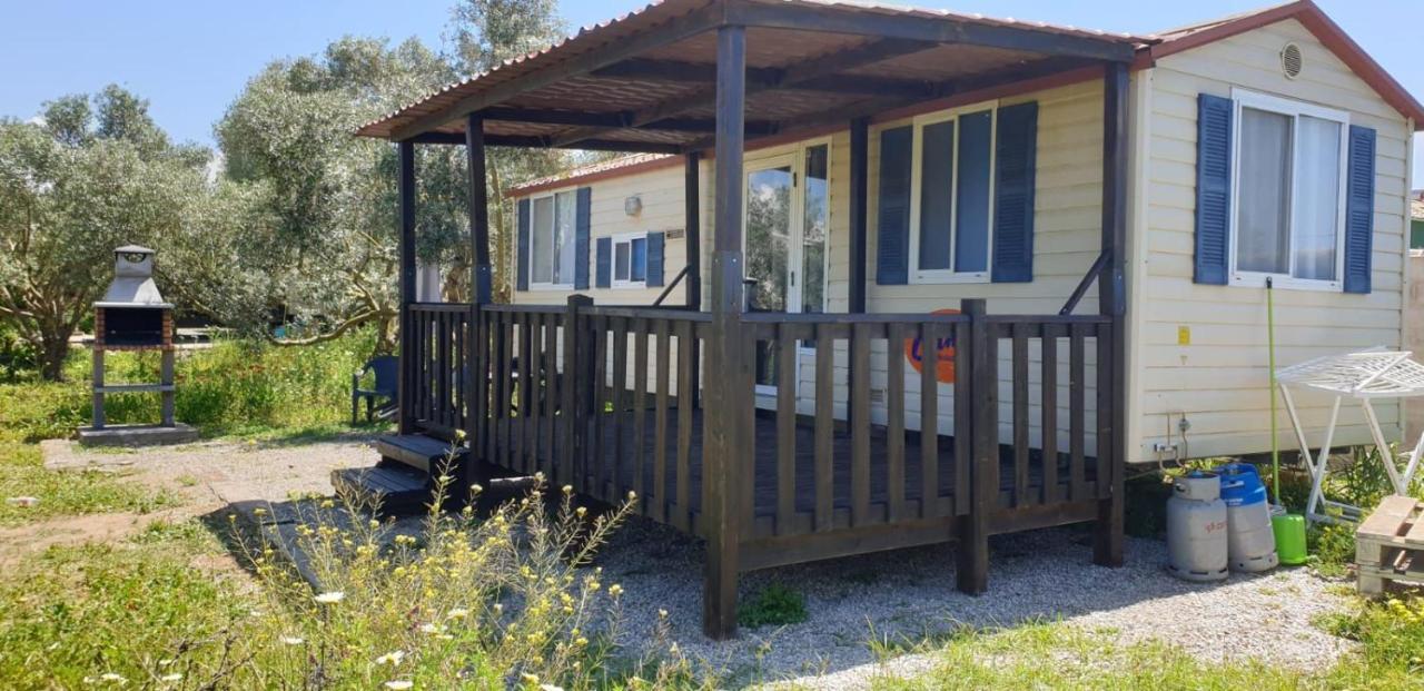 فيلا Chiclana Mobile House - Piscina , Wi-Fi, Relax شيكلانا دي لا فرونتيرا المظهر الخارجي الصورة